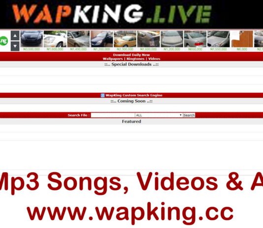 About wapking website wapking
