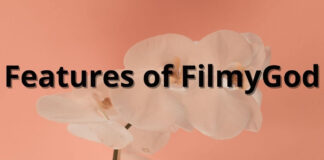 Features of FilmyGod