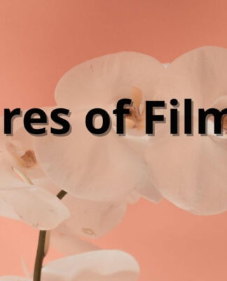 Features of FilmyGod
