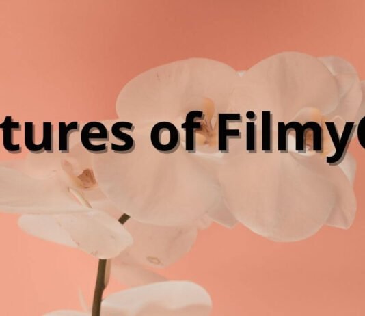 About Filmygod website Features of FilmyGod