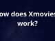 How does Xmovies8 work