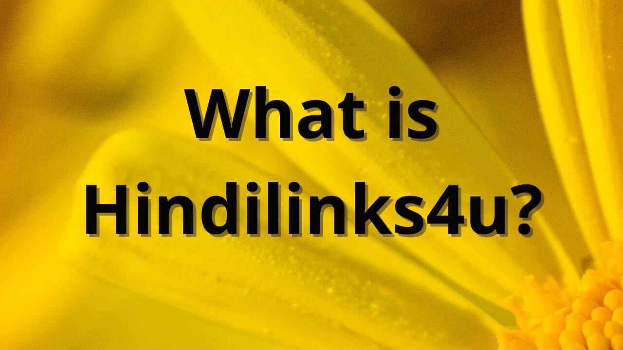 What is Hindilinks4u website 2021 business spot