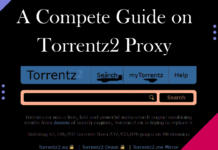 A Compete Guide on Torrentz2 Proxy