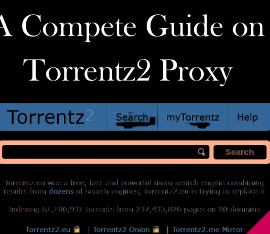 A Compete Guide on Torrentz2 Proxy