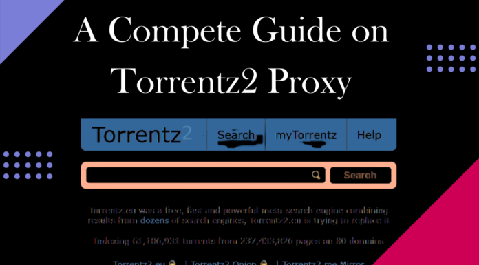A Compete Guide on Torrentz2 Proxy
