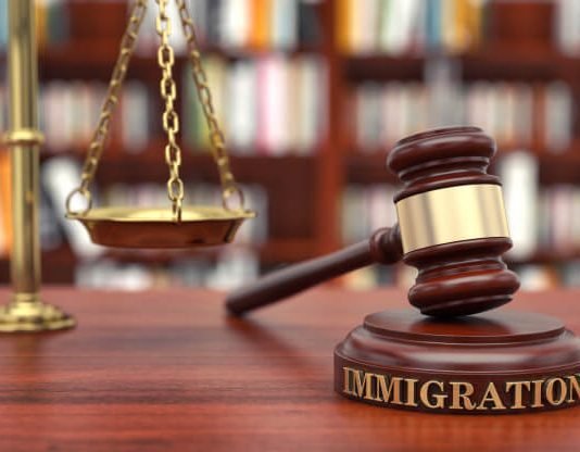 Immigration Lawyer